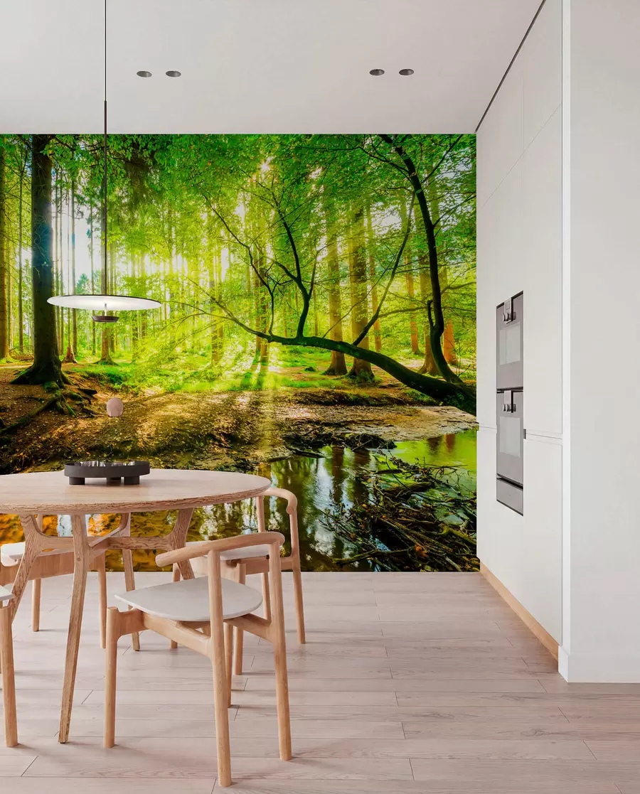 Fototapetai Miško srauto skaidrumas u93621