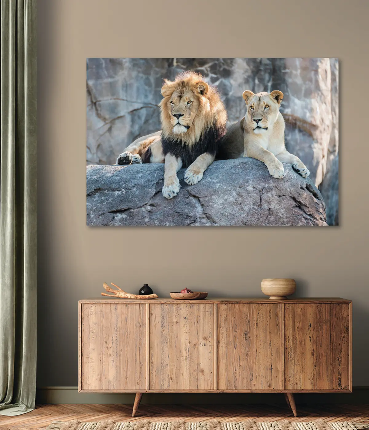 Paveikslėlis Liūtas, kačių ir mėsėdžių šeimos gyvūnai s15278