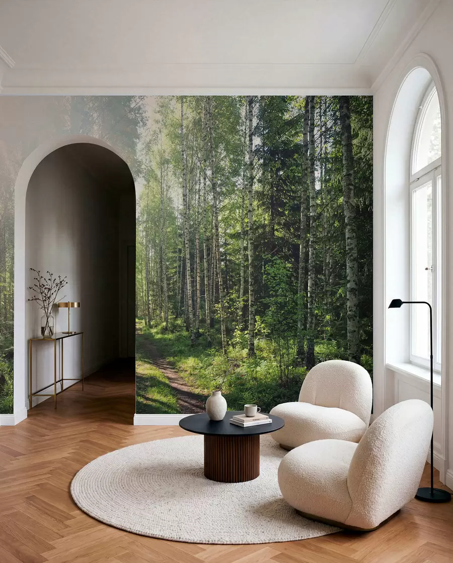 Fototapetai Žalia saulė Suomijoje u74235