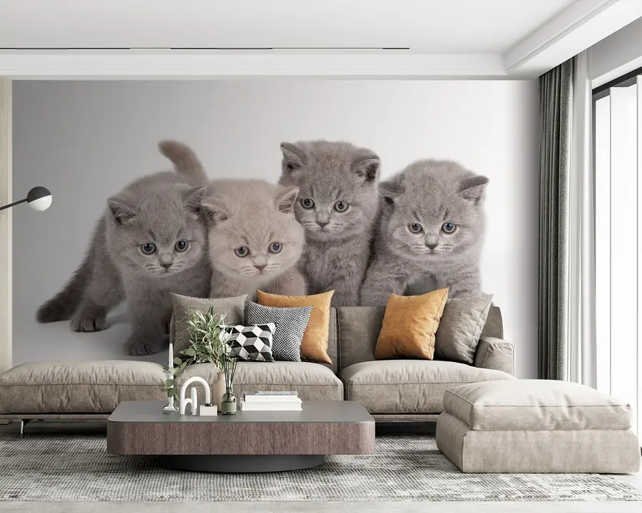 Fototapetai Akis, katė ir mėsėdis u55076