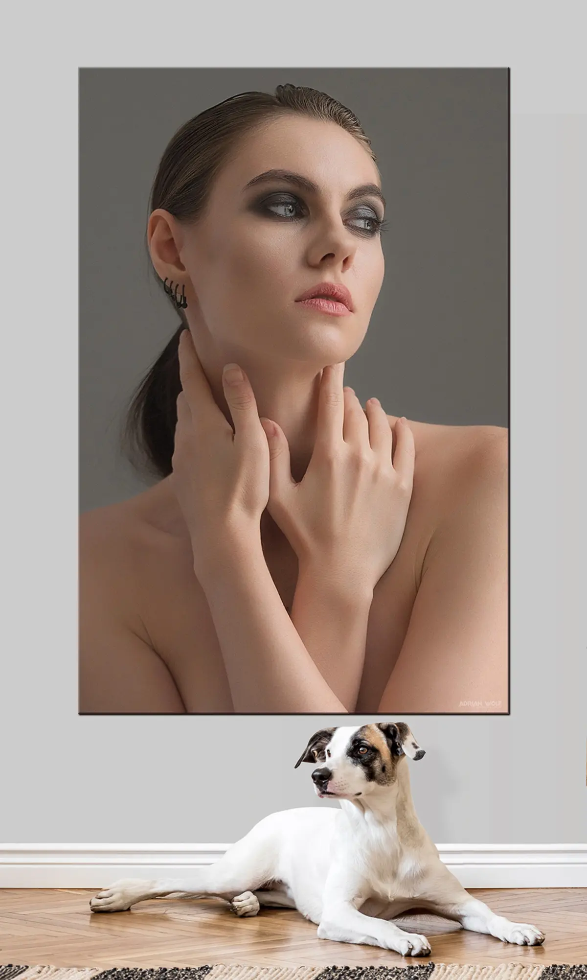 Paveikslėlis Skruostai, lūpos ir antakiai s33204