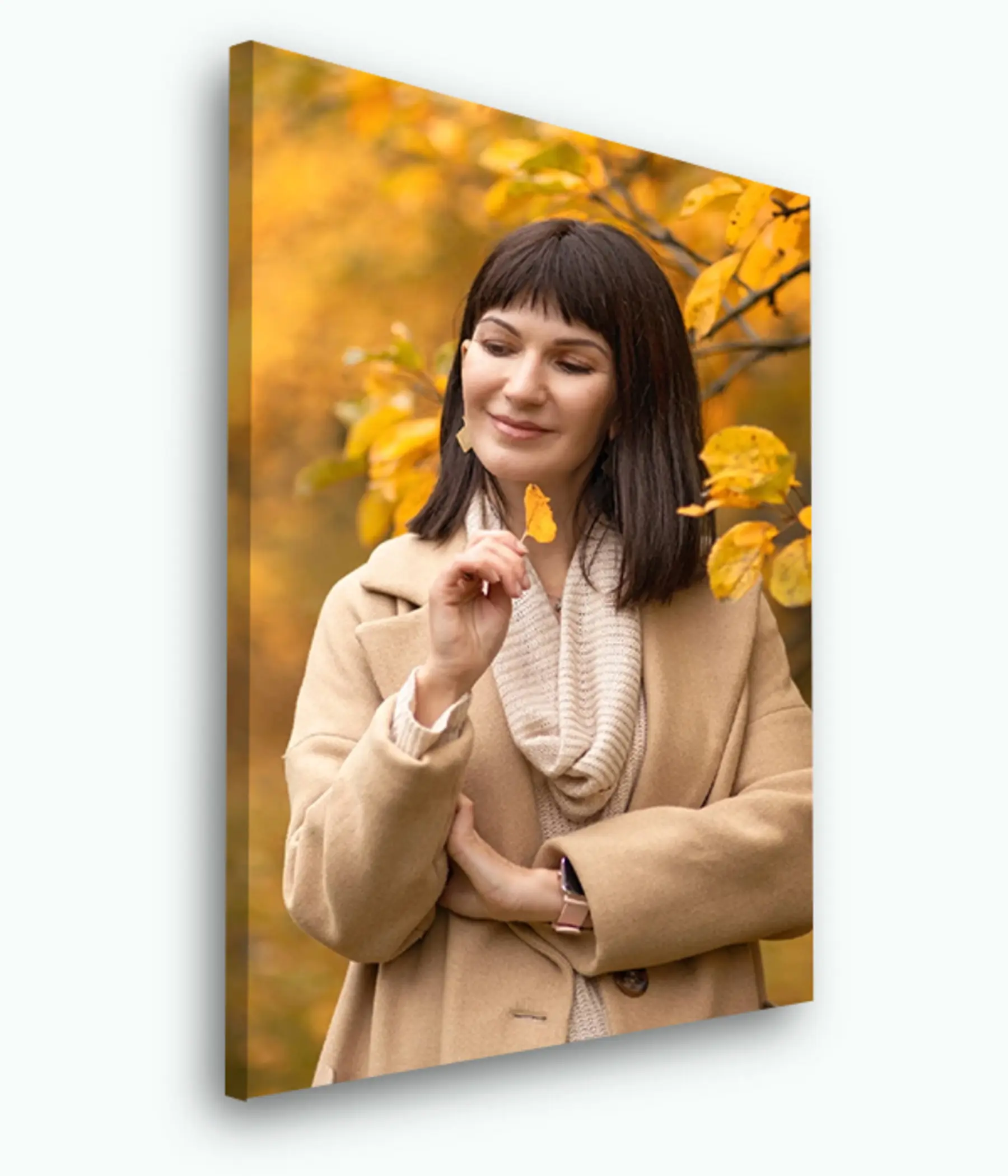 Paveikslėlis Šypsena, viršutiniai drabužiai ir augalai s33290