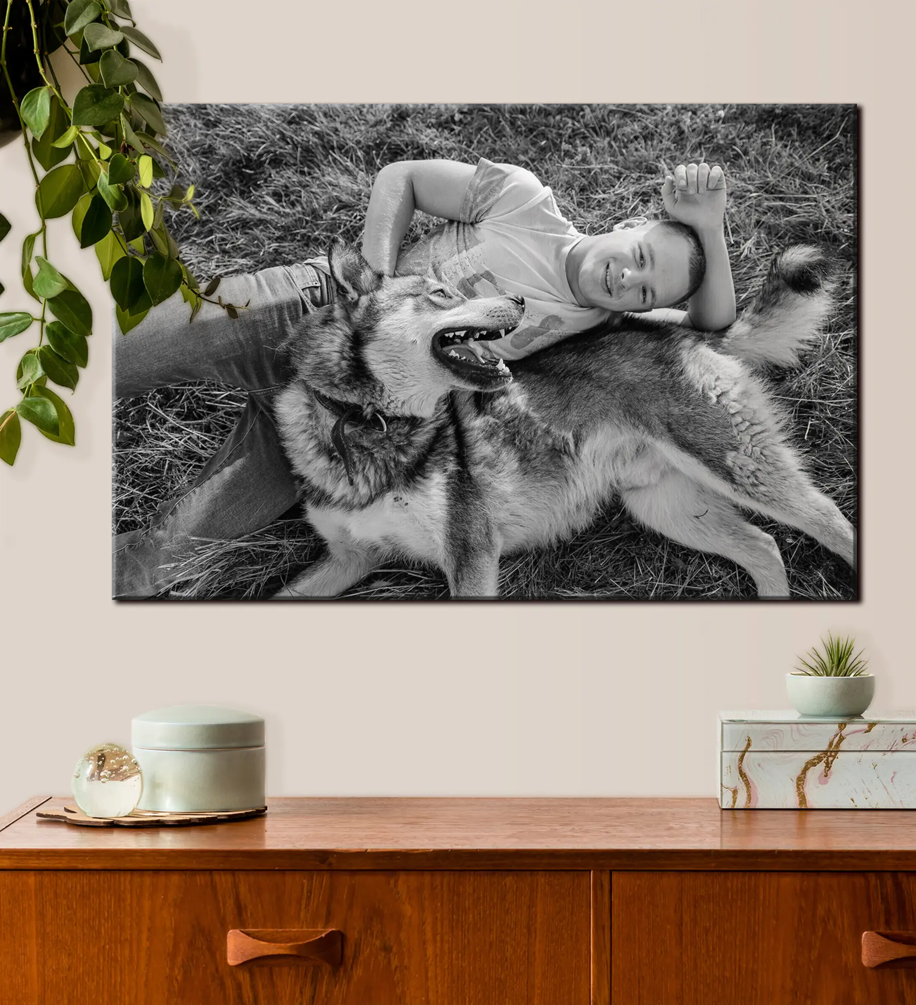 Paveikslėlis Šuo, gestas ir juodai balta s33340