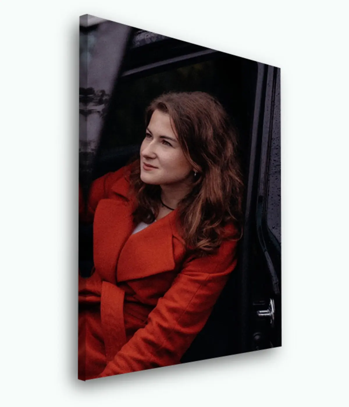 Paveikslėlis Gėlė, augalas ir švarkas s33418