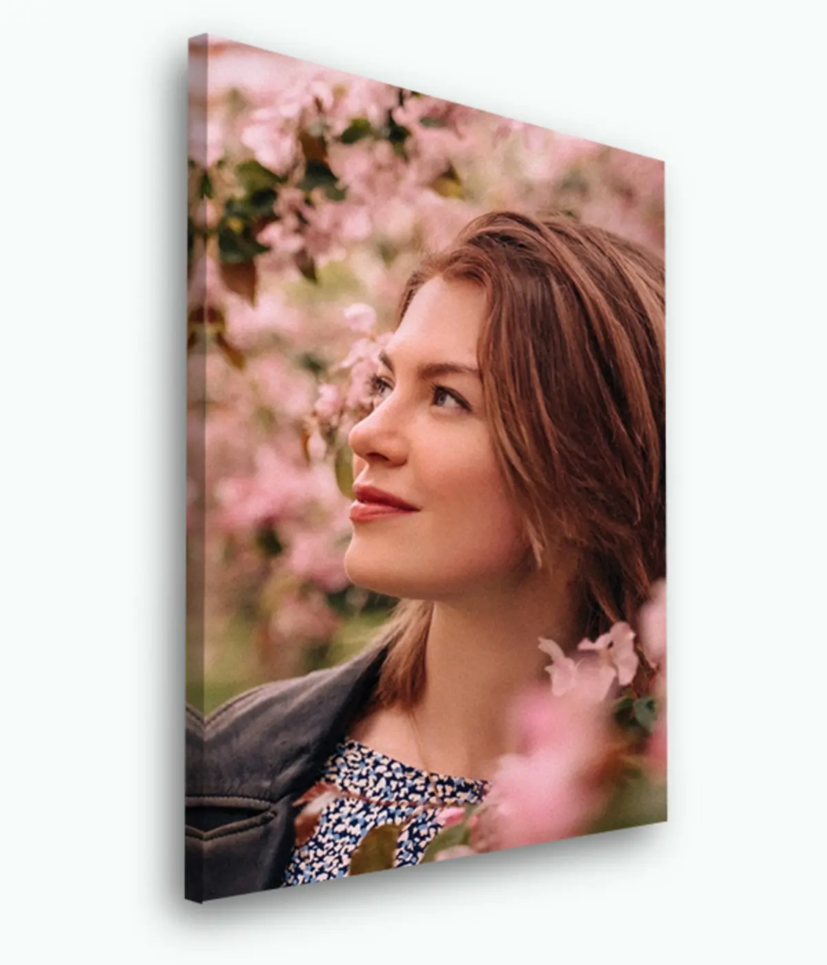 Paveikslėlis Lūpos, gėlė ir nuotrauka s33423