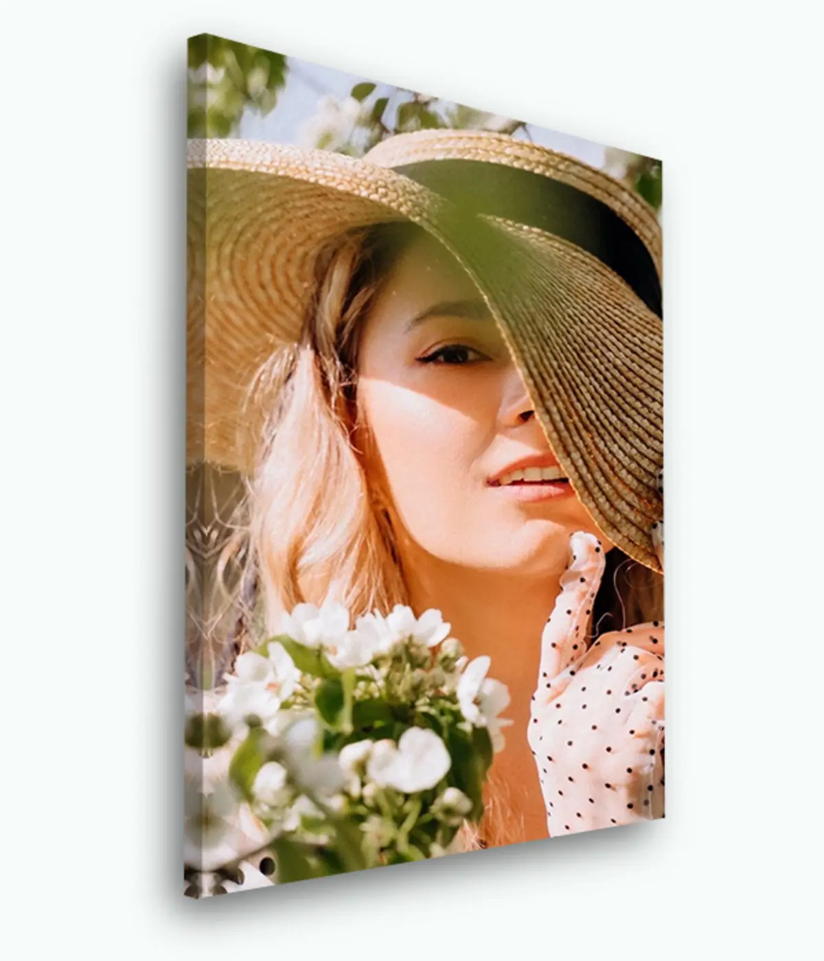 Paveikslėlis Gėlė, augalas ir vazonas s33424