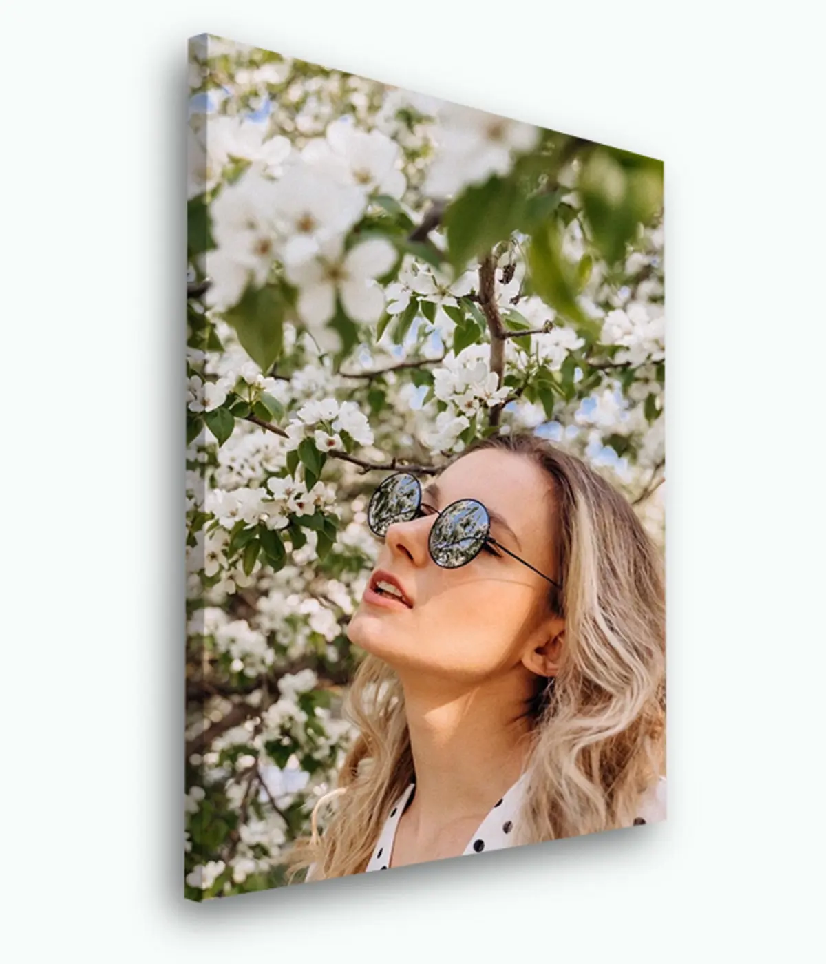 Paveikslėlis Akiniai nuo saulės, regėjimo priežiūra ir augalai s33425