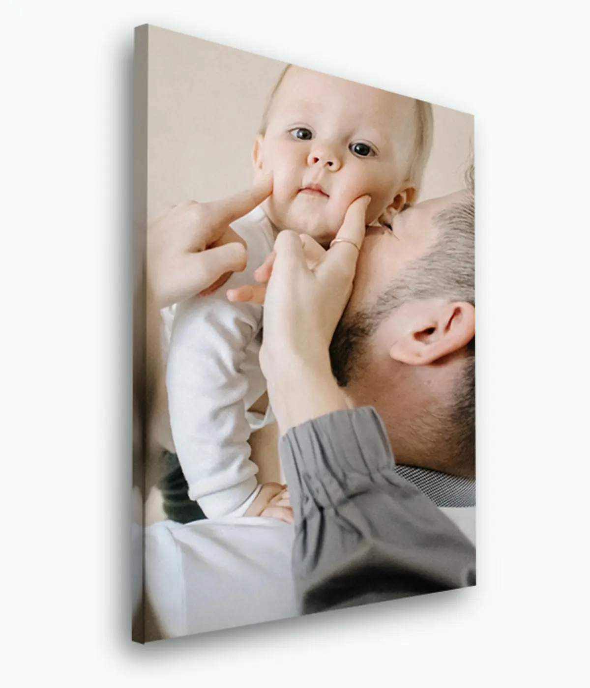 Paveikslėlis Gėlių vazonas, augalas ir blakstiena s33461