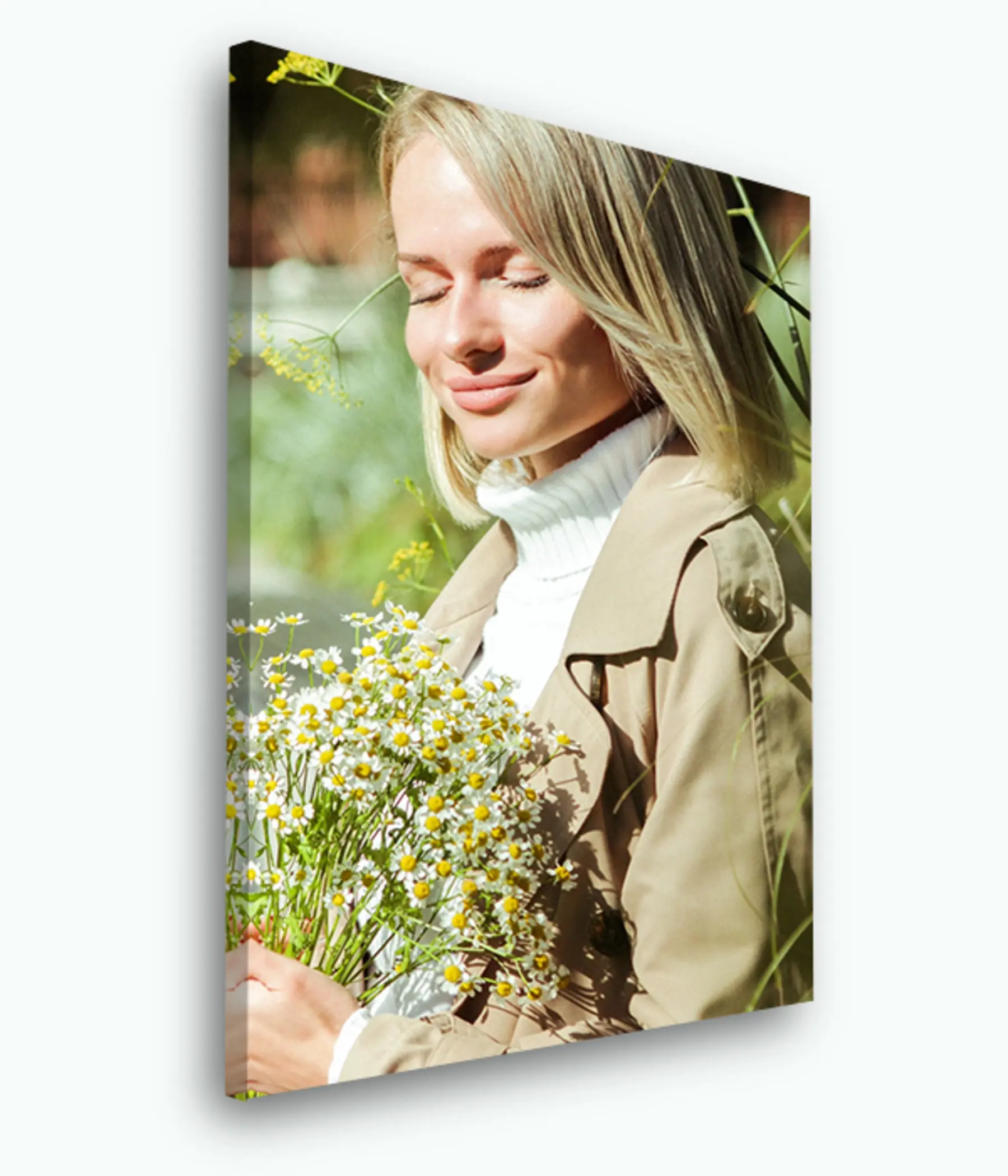 Paveikslėlis Gėlė, šypsena ir augalas s33474