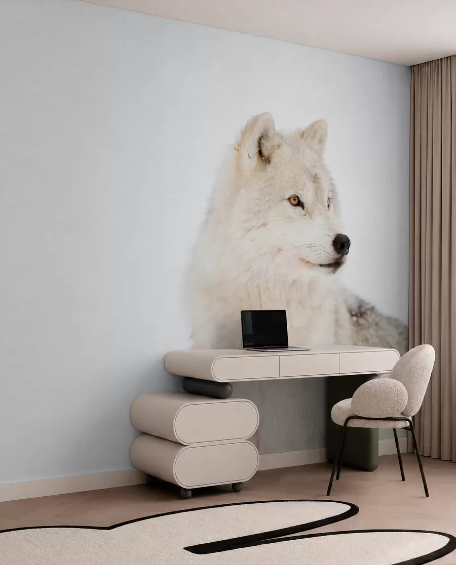 Fototapetai Arktinis vilkas baltame fone u98189