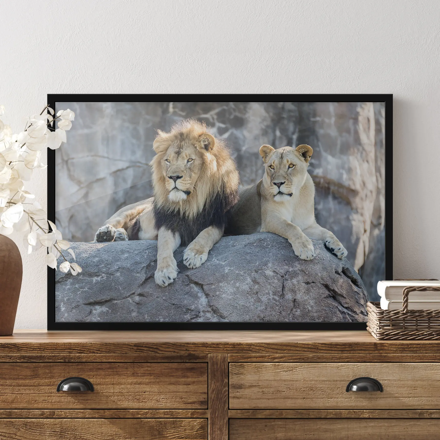Fototapetai Didingi liūtai ramiai ilsisi kartu f15278