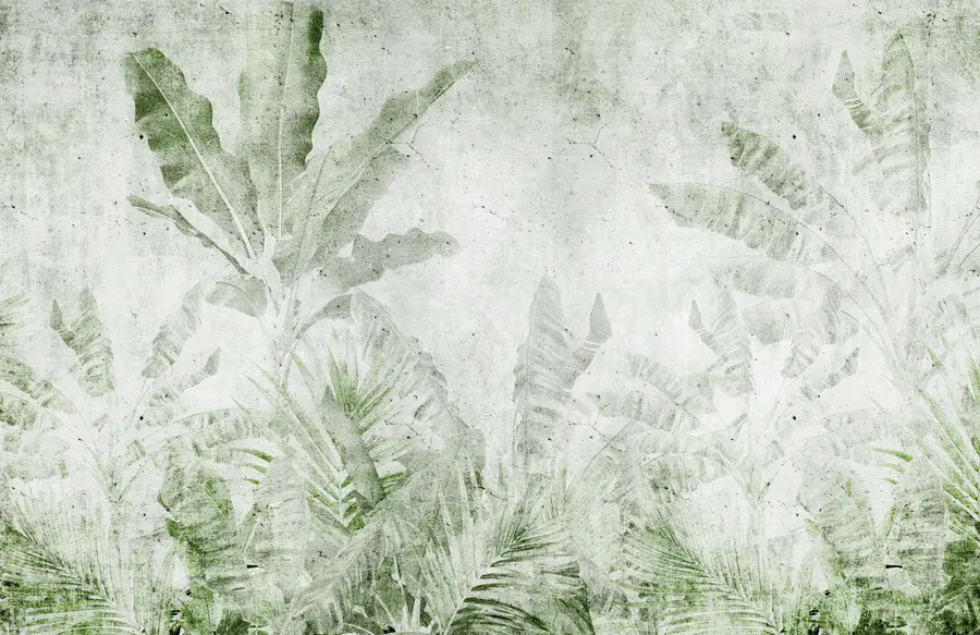 Fototapetai Bananų lapai ant betoninės sienos u73886v3